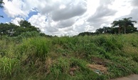 vista lateral