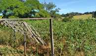IMG-20231109-WA0015
