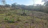 IMG-20240207-WA0011