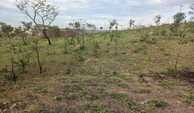 IMG-20240207-WA0012