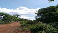 IMG-20240311-WA0010