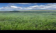 IMG-20250130-WA0025
