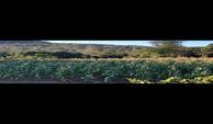 IMG-20250130-WA0030
