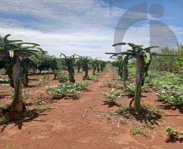 Zona Rural, Campo Limpo de Goiás - GO 